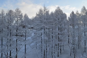 Madarao Kogen Ski Resort
